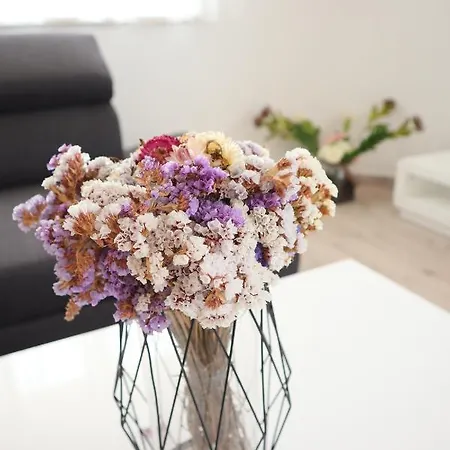 Vratovic Apartmán Pula