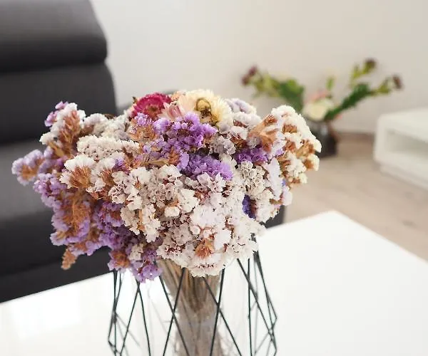 Vratovic Apartament Pula